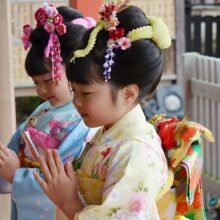 七五三着物を着てお参るをする女児